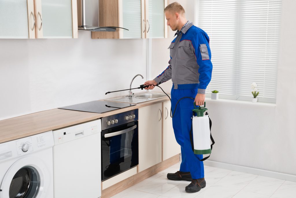 Broomall Pest Control Companies
