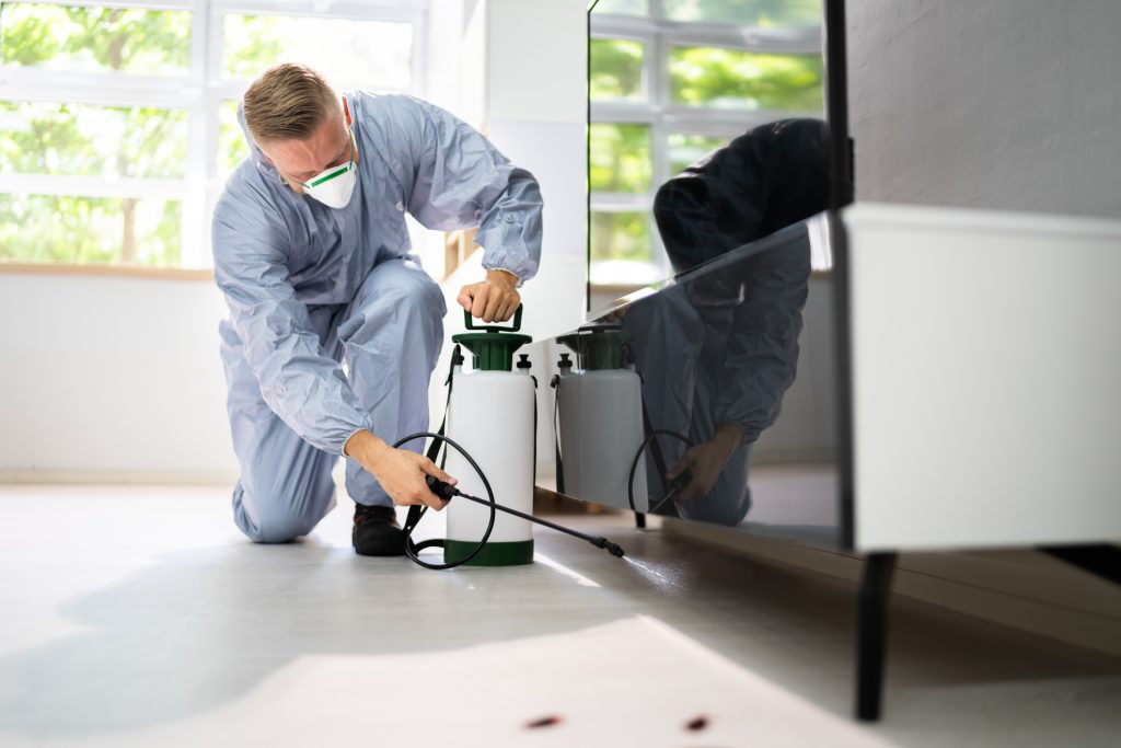 Drexel Hill Pest Control Companies