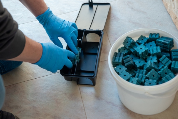Mice Exterminators in Wayne, PA 2